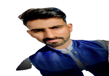 I will do perfect data entry cleaning data