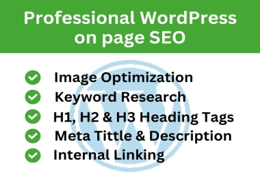 Professional Wordpress Website Onpage SEO