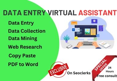 Data Dynamo Expert Virtual Assistant and Data Entry Maestro,  Elevate Your Business