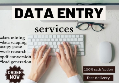 I am a highly skilled freelancer in Data Entry Excel MS office with 100 satisfaction
