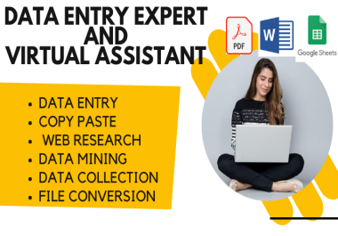 I'll be your VA for data entry,  copy paste and web research
