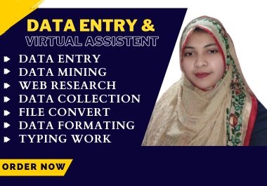 I will be your skilled virtual assistant 5 hour can perform data entry,  copy-paste,  salary sheet con