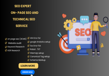 I will provide on-page and technical SEO of WordPress,  Shopify,  Laravel.