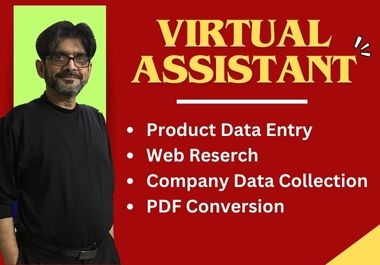 I will do virtual assistant for Product data entry,  web research,  Company data collection etc