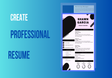 I will create a professional resume within 24 hours