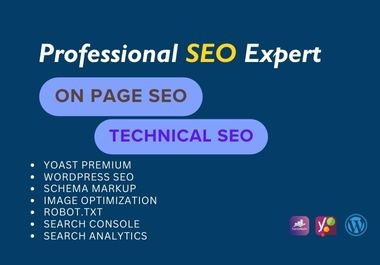 I will do Complete On Page & Technical SEO Optimization