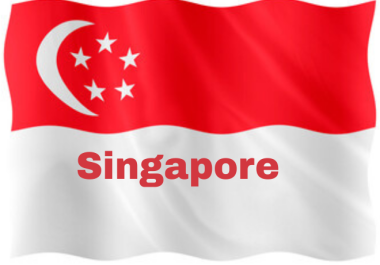 I will send you 100k Singapore targeted traffic to your website