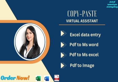 Professional virtual assistant for Copy-Paste.