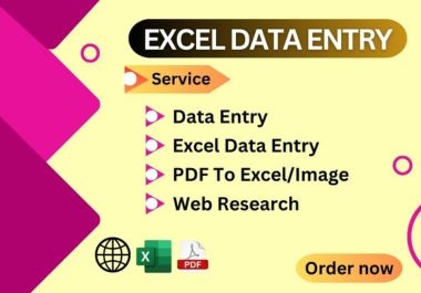 I will do accurate Excel data entry,  web research,  typing work.