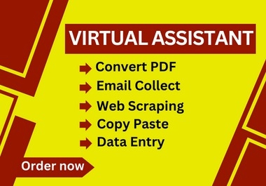 I will do data entry,  web research,  fast typing,  copy-paste job