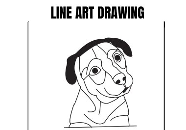 I will create line art drawing by using illustrator.