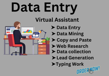 I will perform data entry,  data mining,  web scraping,  and copy pasting as a virtual assistant.
