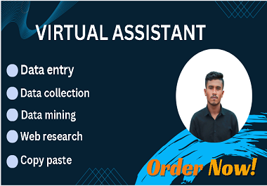I will do data entry,  copy paste,  virtual assistant and data collection