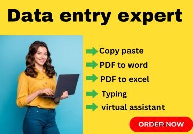 I will do a virtual assistant for data entry,  data mining,  copy-paste,  and writing service