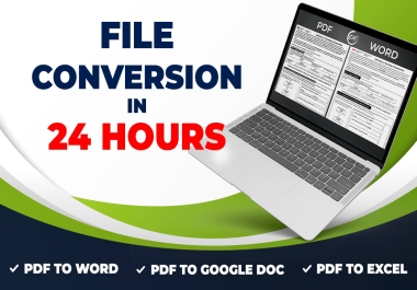 ill convert pdf to word,  pdf to excel or data entry in 24 hours