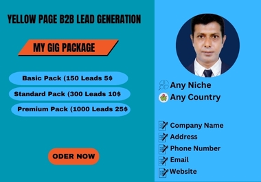 I will Collect And Targeted B2B Lead Generation From Yellow Page