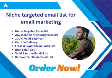 Niche targeted email list for email marketing