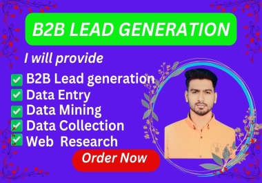 I will provide you Data Entry, B2B Lead, data mining,  email list,  virtual assistant