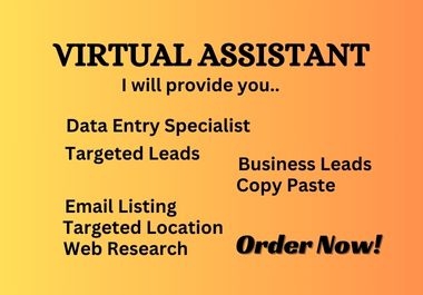 I will be professional virtual assistant and web research & prospect email list.