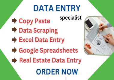 I will do data entry,  web research,  excel data cleaning,  copy paste.