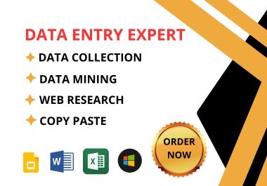 I am a Data Entry Expert for Data Collection Data Mining Web Research Web Scraping and copy paste.