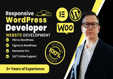 I will create professional WordPress responsive website