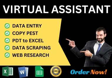 I will do Data Entry,Copy pest,PDF to Excel,Data scraping and web research