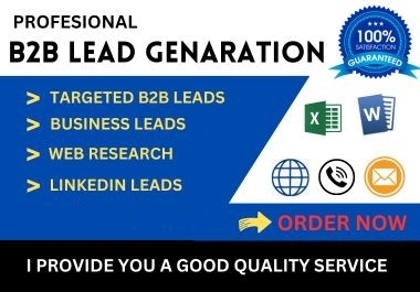 I will do all kind of B2B Lead generation, Web Research and Data Entry 