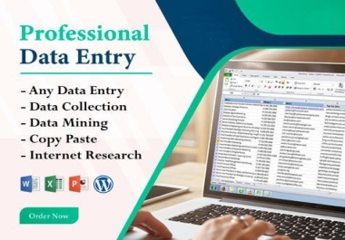 I will do fast data entry,  internet research,  data mining,  copy paste work