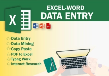 I will do data entry,  internet research,  data mining,  copy paste work