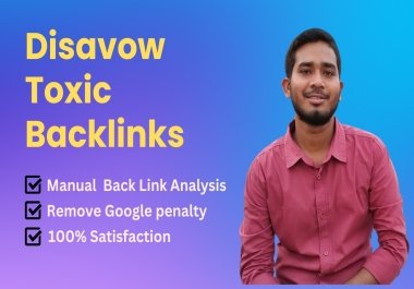 I will professionally audit backlinks and disavow toxic SEO links
