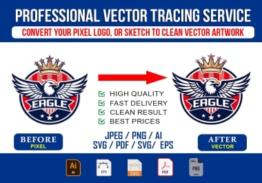 I will do clean manual vector tracing for your artwork and logo