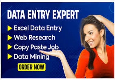 I Do All Data Entry Work Quickly