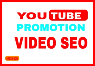 I will seo on your youtube videos for organic growth