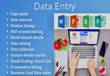 I am Professional Data Entry Expert