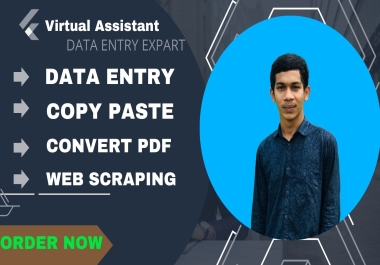 I will be your virtual assistant for any kind of data entry,  web research and copy-paste accurately