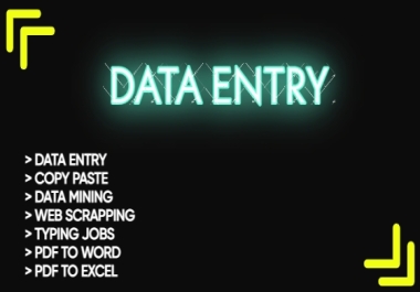 I will do Excel Data entry,  web research,  copy paste.