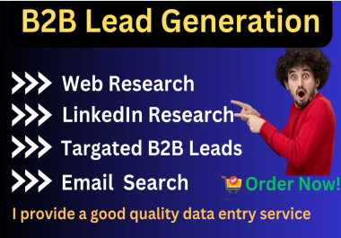 I will do B2B Lead Generation, web research and Data Entry