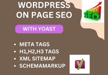 I will do complete on page SEO and technical optimization service for wordpress