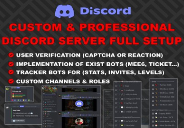 You will get Professional NFT Discord Server Full Setup