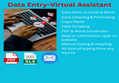 I will be virtual assistant for Data Entry,  Excel,  Word and Web research
