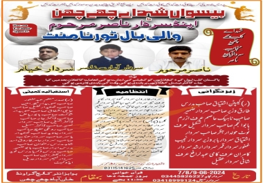 Professional Poster & Flyer Designer