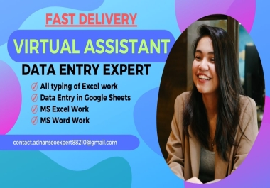 Data Entry Job,  Excel Data Entry,  Data Analysis,  Data Mining,  virtual assistant