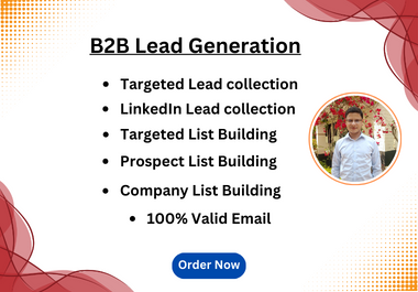 I will provide B2B Lead Generation for any Industries or any Niches