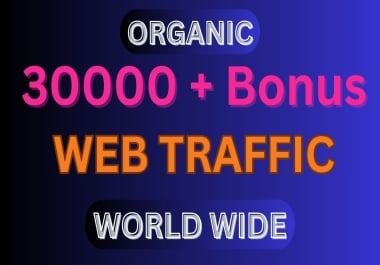 I will drive 30,000 organic visitors from around the world to your website