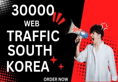 I Will Do Perfect Web Traffic For South Korea.