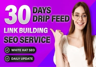 Get More Ranking With 30 Days Daily Drip Feed SEO Backlinks Package