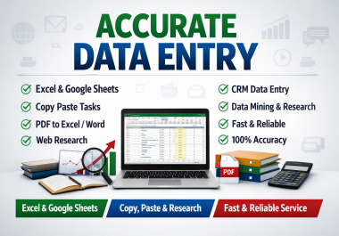I will perform accurate data entry,  copy and paste,  and web research in Excel or Google Sheets.
