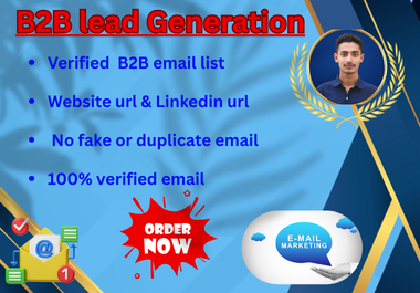 I will provide verified B2B email for email marketing.