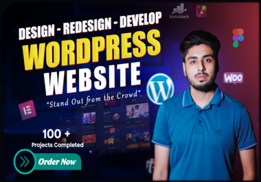 I will build,  design,  redesign,  customize or update your professional WordPress website
